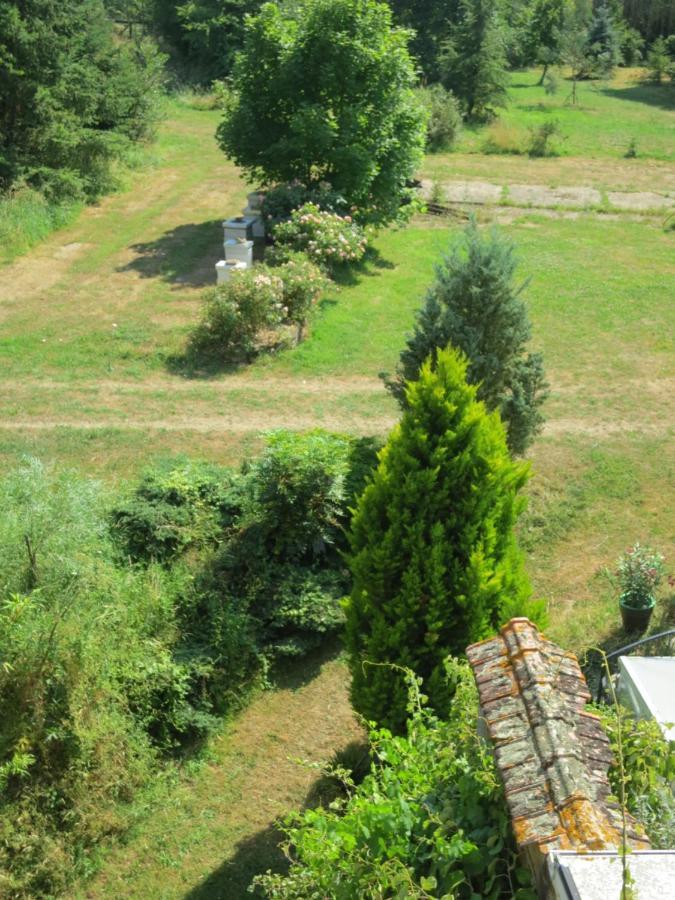 Chambres D'Hotes Du Moulin De La Chaussee Saint-Denis-d'Orques Ngoại thất bức ảnh